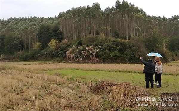 周口市陈老师带着爱徒寻龙点穴